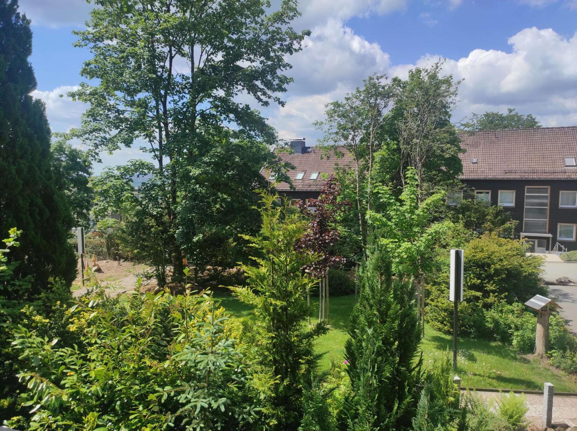 Ferienwohnung Schueler - Paradies Sankt Andreasberg Buitenkant foto
